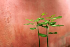 婚活詐欺に遭わないための具体的な対策行動は？