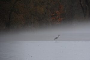 恋愛詐欺に遭った場合、先延ばしにするべき結婚詐欺の対策は？