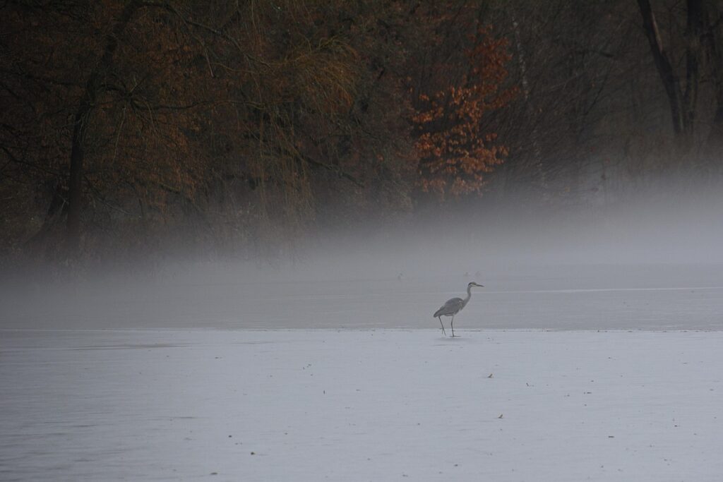 恋愛詐欺を先延ばしにすることで結婚詐欺に巻き込まれないための対策は？