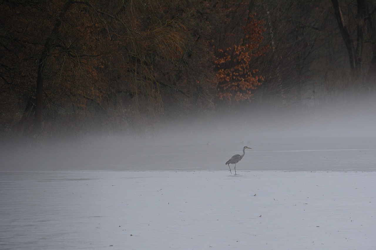 恋愛詐欺を先延ばしにすることで結婚詐欺に巻き込まれないための対策は？