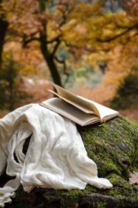 ロマンス詐欺に悩むあなたにおすすめの相談所は？