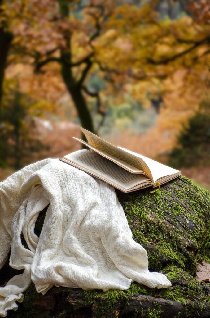 ロマンス詐欺に悩むあなたにおすすめの相談所は？