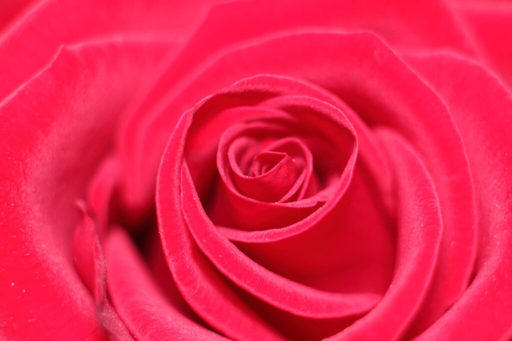 恋愛詐欺に遭った場合のプレゼント要求の対処法は？