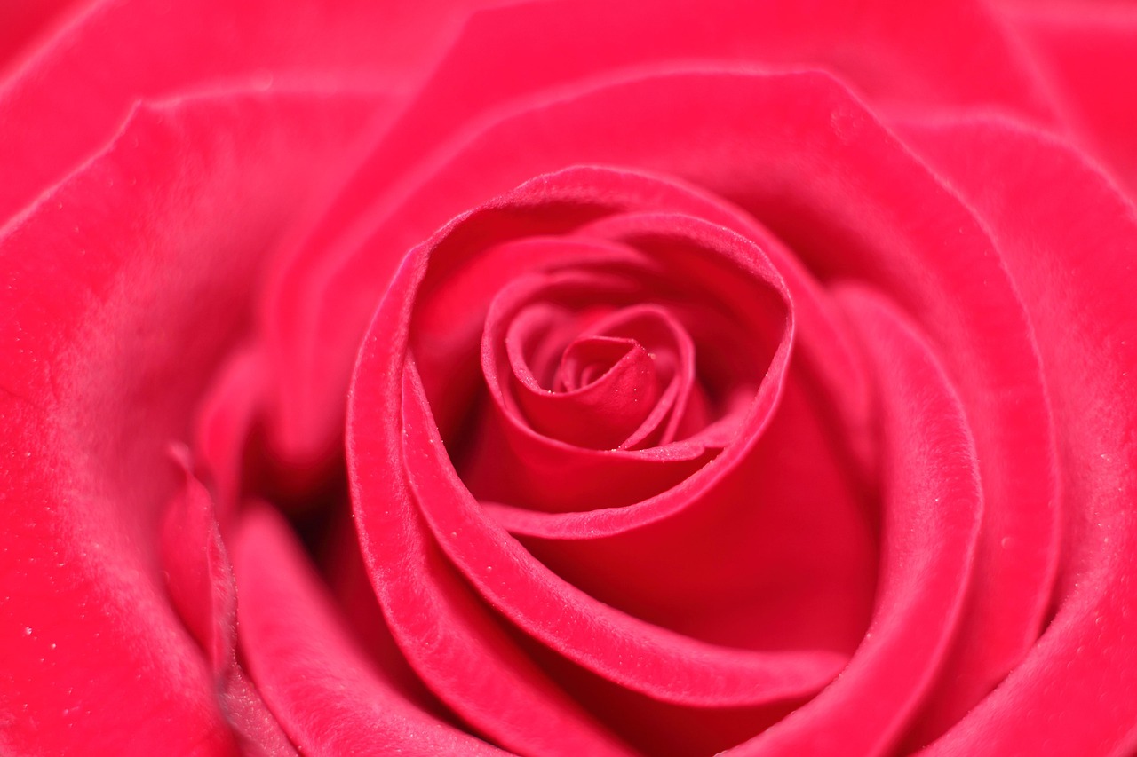 恋愛詐欺に遭った場合のプレゼント要求の対処法は？