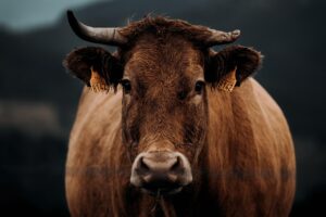 プロフィール詐称の恋愛に関する口コミは本当に信頼できる？