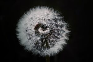 既婚者が独身偽装する理由とその評判は？